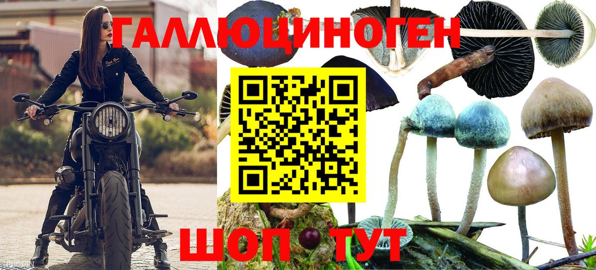Галлюциногенные грибы мицелий Владикавказ