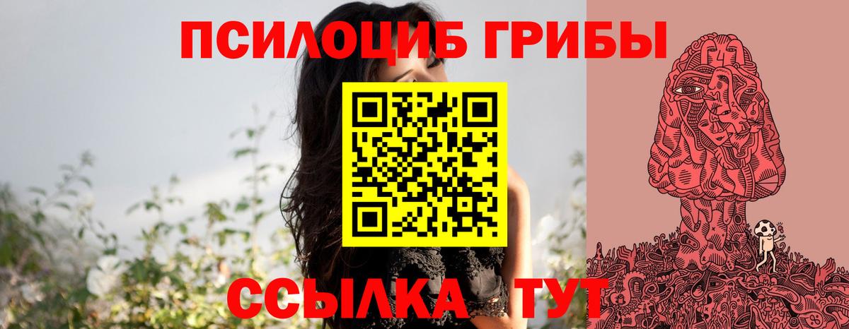 Владикавказ  Галлюциногенные грибы GOLDEN TEACHER  Псилоцибиновые грибы мухоморы  Вход с VPN 